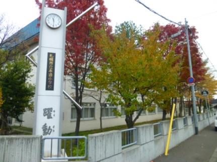 北海道札幌市白石区本通１１丁目南(賃貸マンション1DK・5階・23.00㎡)の写真 その21