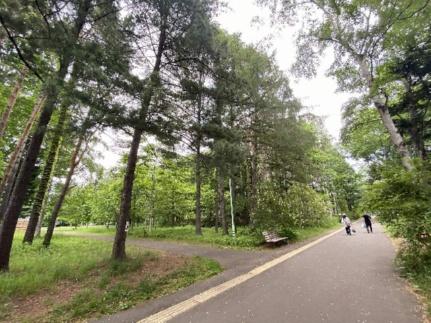 ミ・ピアーチェ学園前 301｜北海道札幌市豊平区豊平八条８丁目(賃貸マンション1DK・3階・32.18㎡)の写真 その22