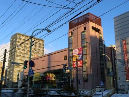 北海道札幌市白石区中央二条５丁目(賃貸マンション2LDK・3階・43.40㎡)の写真 その23