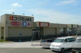 ミズノキングハウス  ｜ 北海道岩見沢市六条東１２丁目（賃貸アパート1LDK・1階・38.88㎡） その15