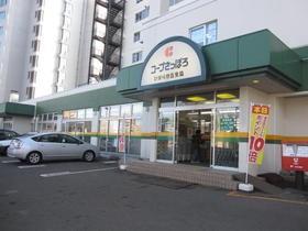 画像16:コープさっぽろひばりが丘店(スーパー)まで125m