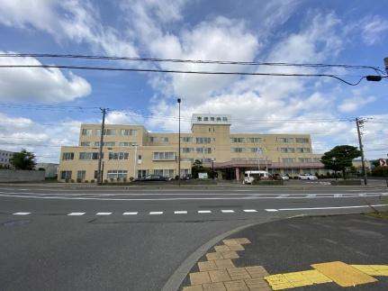 画像18:恵庭南病院(病院)まで390m