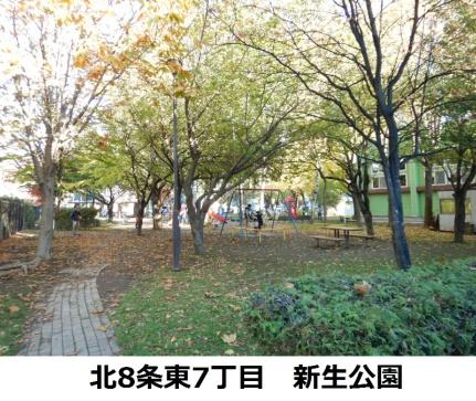 画像18:新生公園(公園)まで194m