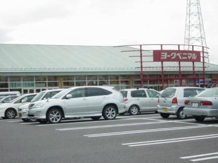 画像16:ヨークベニマル横塚店(その他周辺施設)まで372m