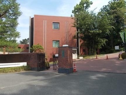 画像14:常磐大学(大学・短大)まで280m
