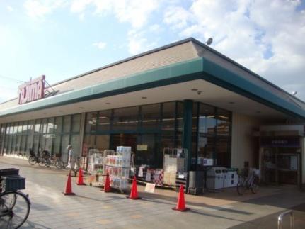 スターコート北浦和 105号室｜埼玉県さいたま市浦和区大東１丁目(賃貸マンション2SLDK・1階・60.37㎡)の写真 その12