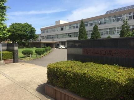 画像14:福井県立武生高等学校(高校・高専)まで240m