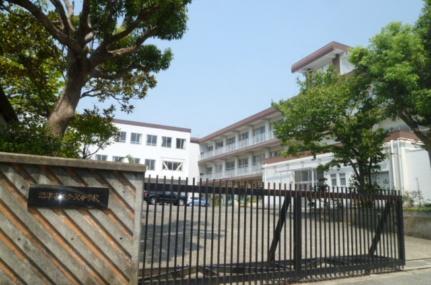 画像15:今沢中学校(中学校)まで1258m