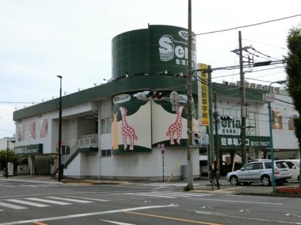 ルミエール若葉 302｜静岡県沼津市若葉町(賃貸マンション1LDK・3階・41.08㎡)の写真 その16