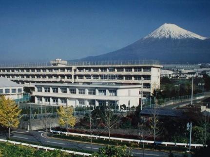 メビウスレーブ 102｜静岡県富士市伝法(賃貸アパート1LDK・1階・44.99㎡)の写真 その14