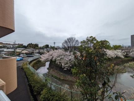 エタニティーＩＩ 209 ｜ 静岡県静岡市清水区草薙３丁目（賃貸マンション2LDK・2階・50.85㎡） その28