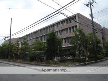 画像17:阪南大学高等学校(高校・高専)まで224m