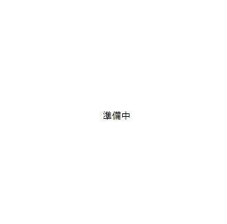 レオネクストソレイユ 102｜大阪府大阪市鶴見区安田２丁目(賃貸アパート1K・1階・24.11㎡)の写真 その1