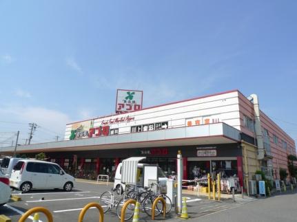画像14:食品館アプロ堺水池店(スーパー)まで212m
