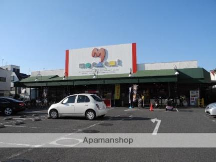 画像17:ミートプラザ高鷲店(スーパー)まで297m