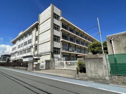 レオネクストベルニナ 102｜兵庫県姫路市飾磨区矢倉町２丁目(賃貸アパート1K・1階・23.61㎡)の写真 その11