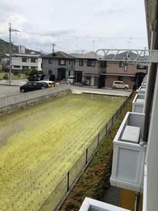 レオパレス太樹 213｜和歌山県和歌山市津秦(賃貸アパート1K・2階・23.18㎡)の写真 その9