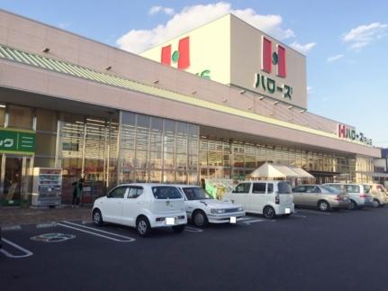 画像17:ハローズ円山店(スーパー)まで1563m
