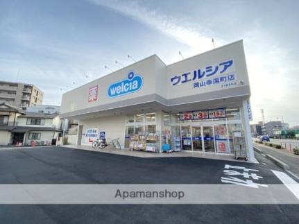 画像16:ウエルシア岡山奉還町店(ドラックストア)まで2928m