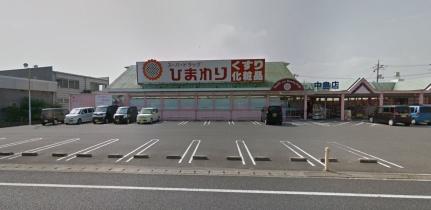 画像18:スーパードラッグひまわり中島店(その他周辺施設)まで459m