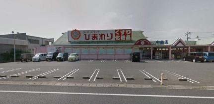 画像5:スーパードラッグひまわり中島店(その他周辺施設)まで496m