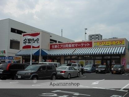 レジデンス・イン・ミユキ 204｜広島県広島市南区宇品西１丁目(賃貸マンション1K・2階・27.20㎡)の写真 その29