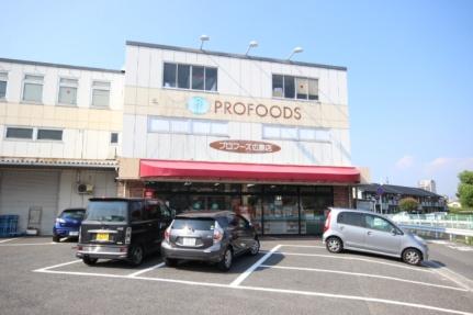 レジデンス新木 305号室｜広島県広島市安佐南区西原２丁目(賃貸マンション1K・3階・21.00㎡)の写真 その30