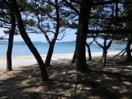 画像14:菊ヶ浜海岸(その他周辺施設)まで50m