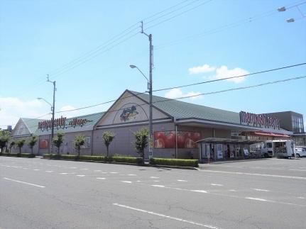 レオパレスＳｕｎＦｌｏｗｅｒ 107｜香川県高松市伏石町(賃貸アパート1K・1階・19.87㎡)の写真 その25