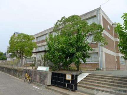 画像18:愛媛県立松山西中等教育学校(中学校)まで909m