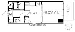 西鉄平尾駅 4.9万円