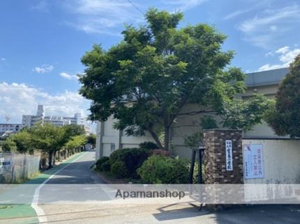 画像15:★福岡市立小学校室見小学校(小学校)まで436m