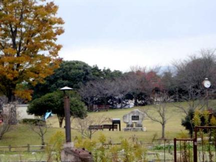 画像17:町民の森(公園)まで1500m