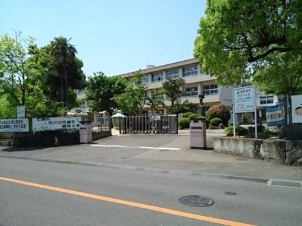 画像14:稙田小学校(小学校)まで900m