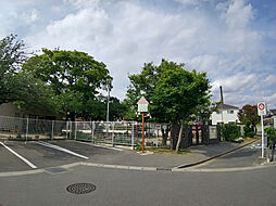 グラン フェリシア