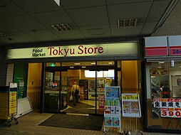 ザ・パークハウス品川荏原中延