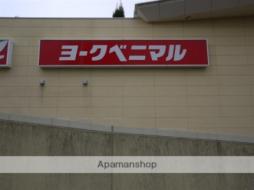 ラフィネ小鶴新田